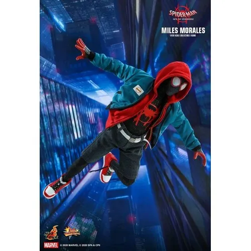 1:6 Spider-Man : Into the Spider Verse - Miles Morales Figure MMS567 Hot Toys