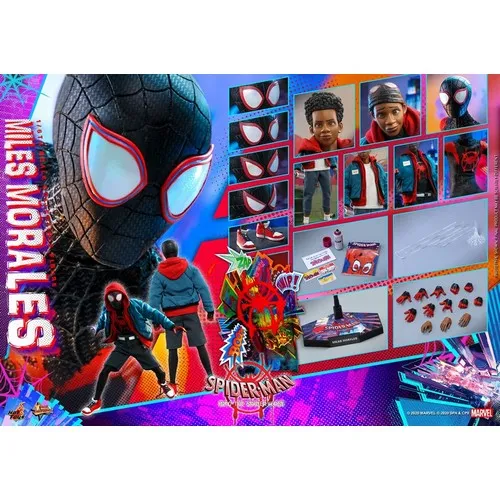 1:6 Spider-Man : Into the Spider Verse - Miles Morales Figure MMS567 Hot Toys