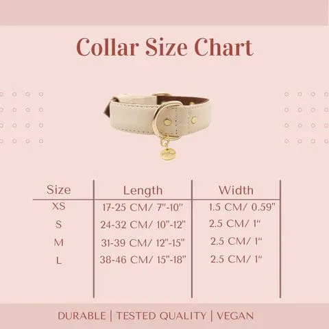 2 In 1 Piñatex® Vegan Leather Dog Collar & Leash Set | Beige