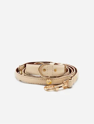 2 In 1 Piñatex® Vegan Leather Dog Collar & Leash Set | Beige