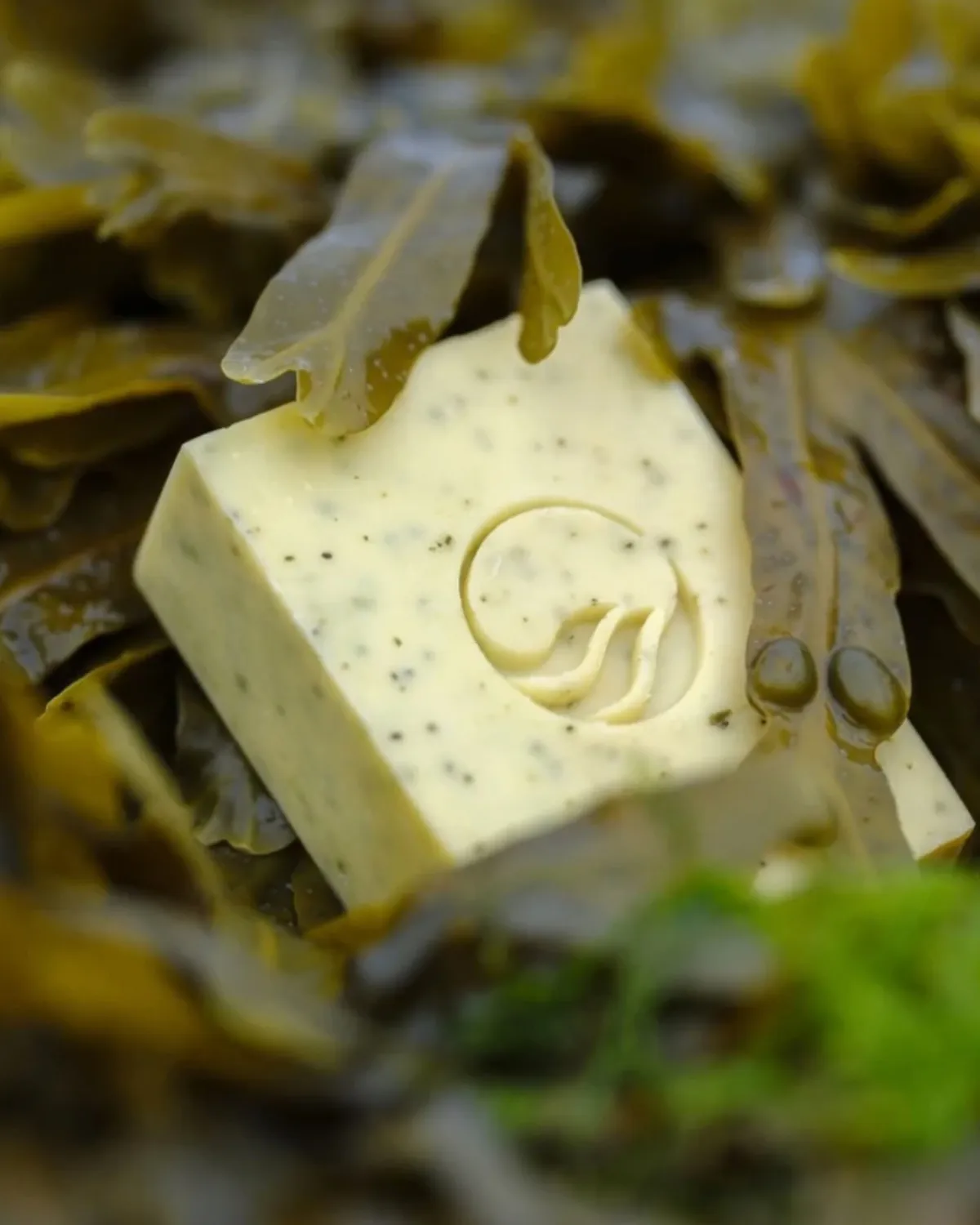 EXFOLIATING SOAP BAR SEAWEED