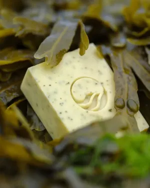 EXFOLIATING SOAP BAR SEAWEED