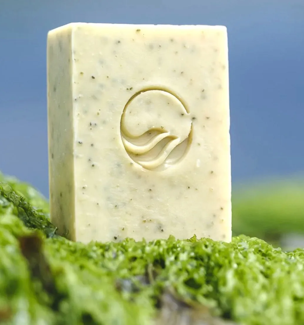 EXFOLIATING SOAP BAR SEAWEED