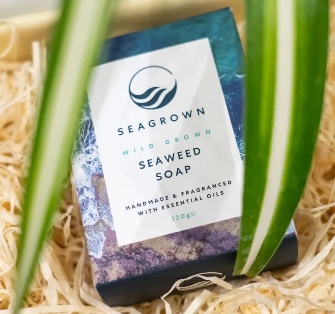 EXFOLIATING SOAP BAR SEAWEED