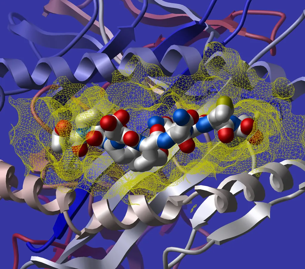 Molecular Docking Training & Certification- Self Learning Course