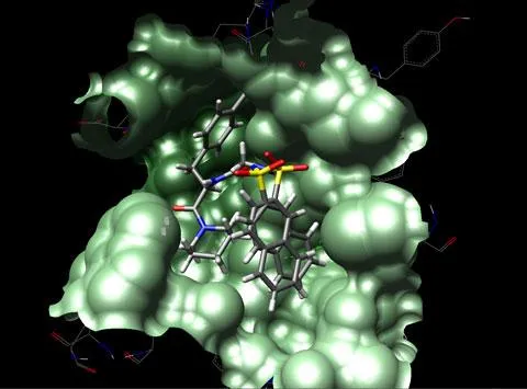 Molecular Docking Training & Certification- Self Learning Course