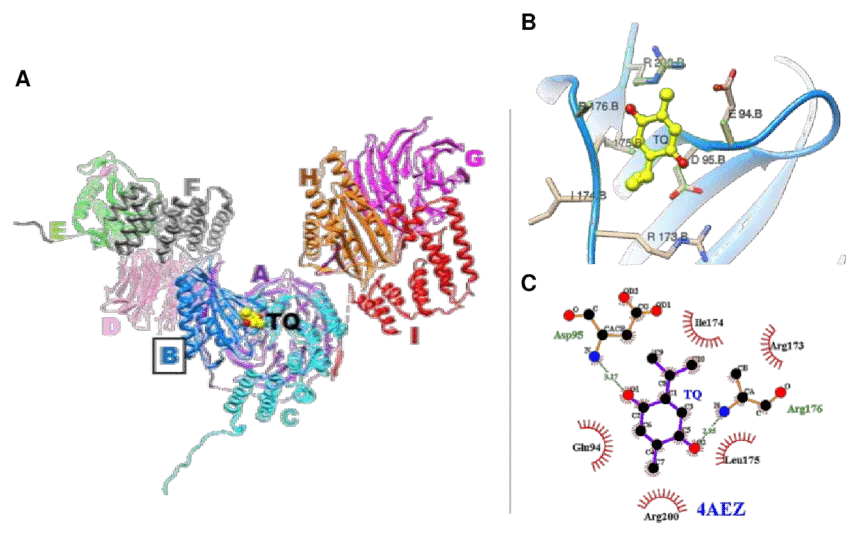Molecular Docking Training & Certification- Self Learning Course