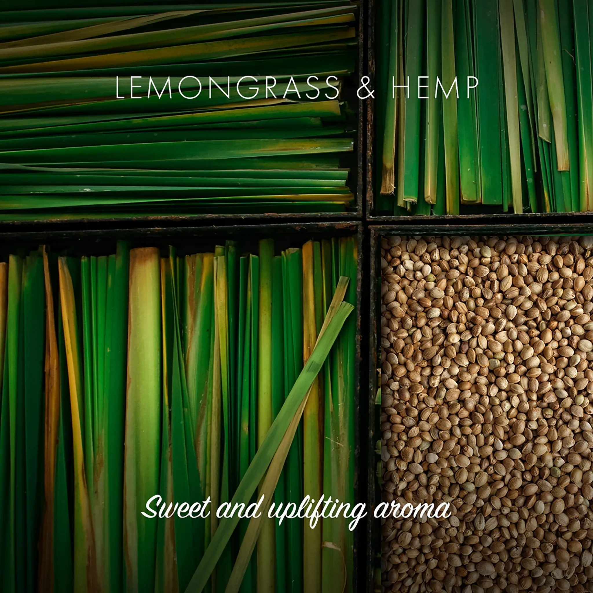 Natural Soap Bar | Lemongrass