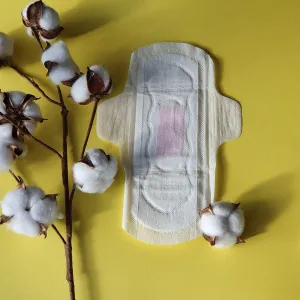 Organic Regular Pads (14 pcs)