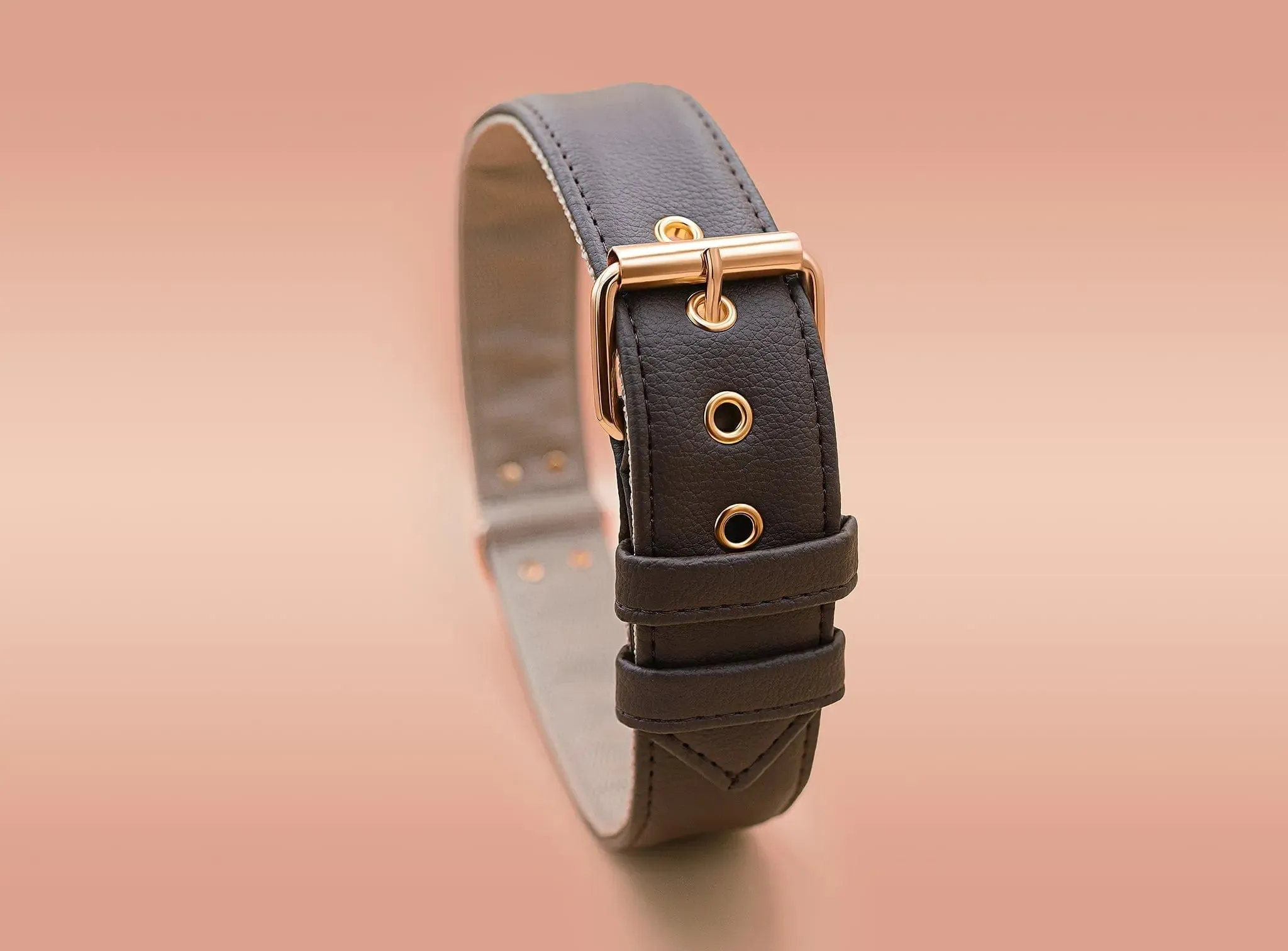 Piñatex® Vegan Leather Large Breed Dog Collar | Brown