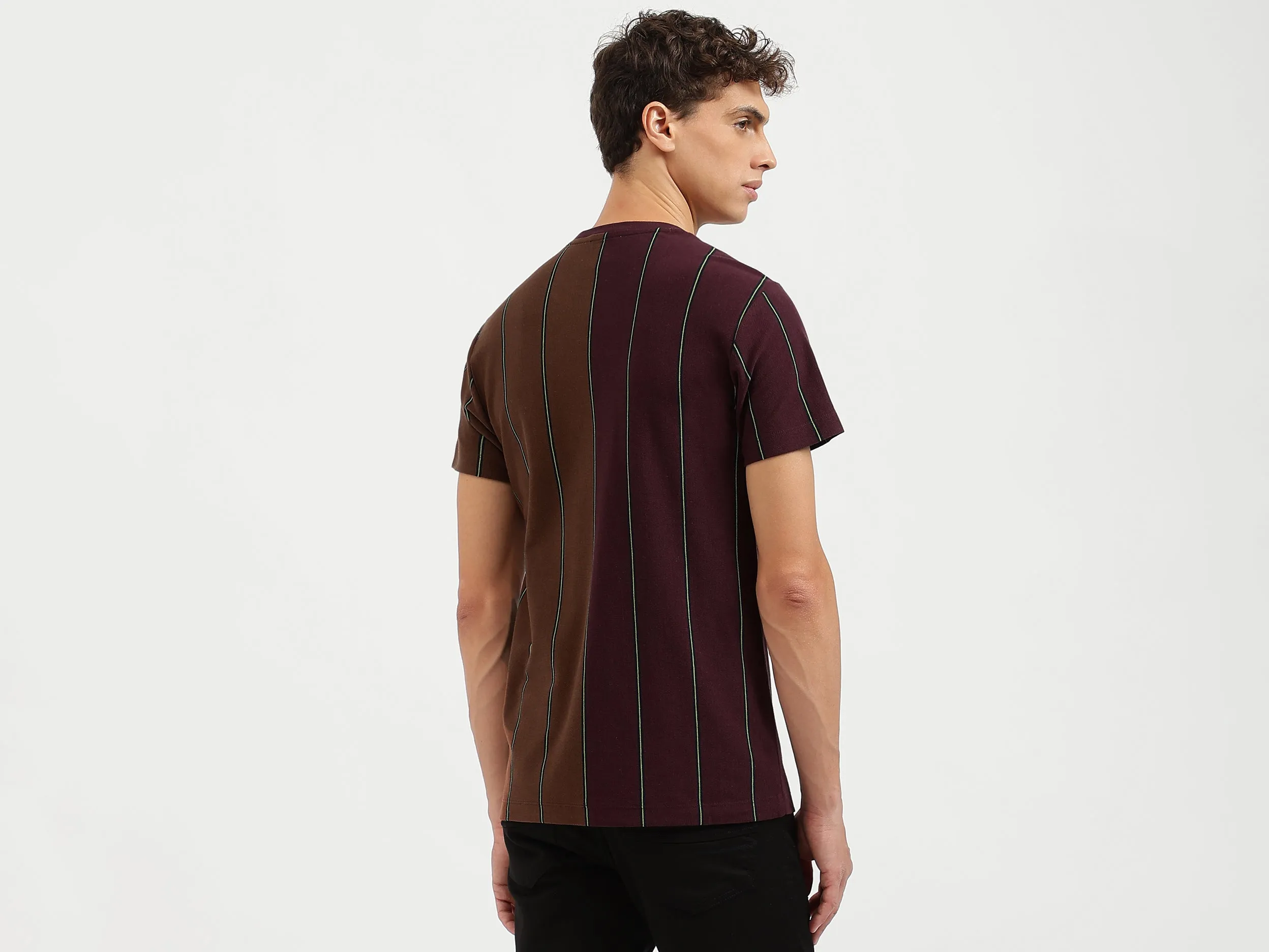 Regular Fit Crew Neck Striped T Shirt