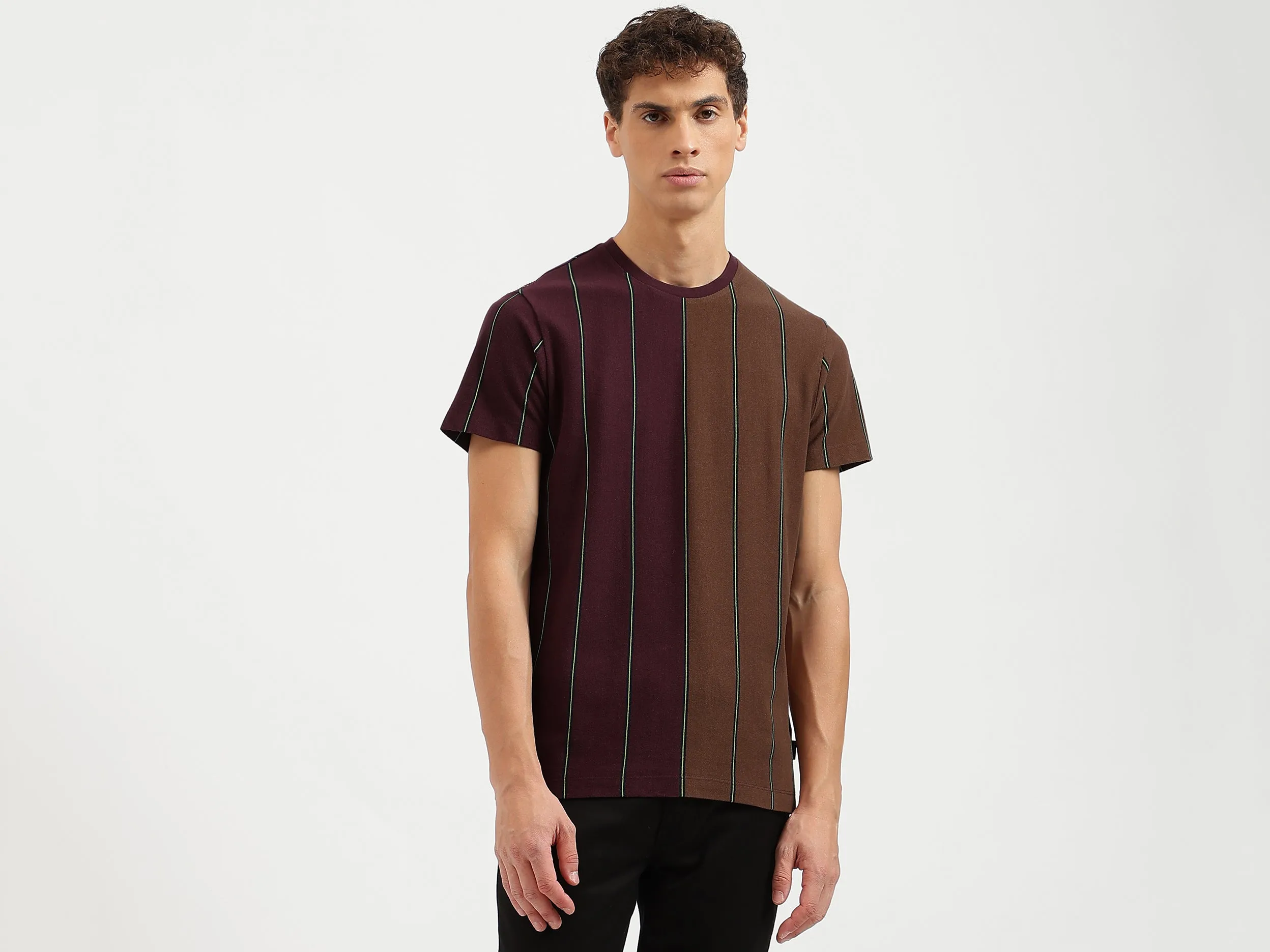 Regular Fit Crew Neck Striped T Shirt