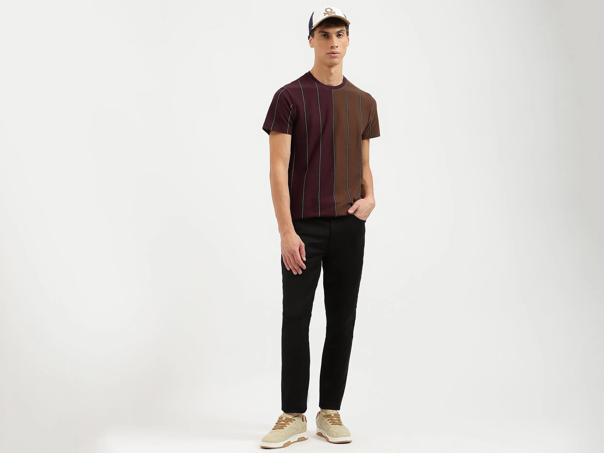 Regular Fit Crew Neck Striped T Shirt