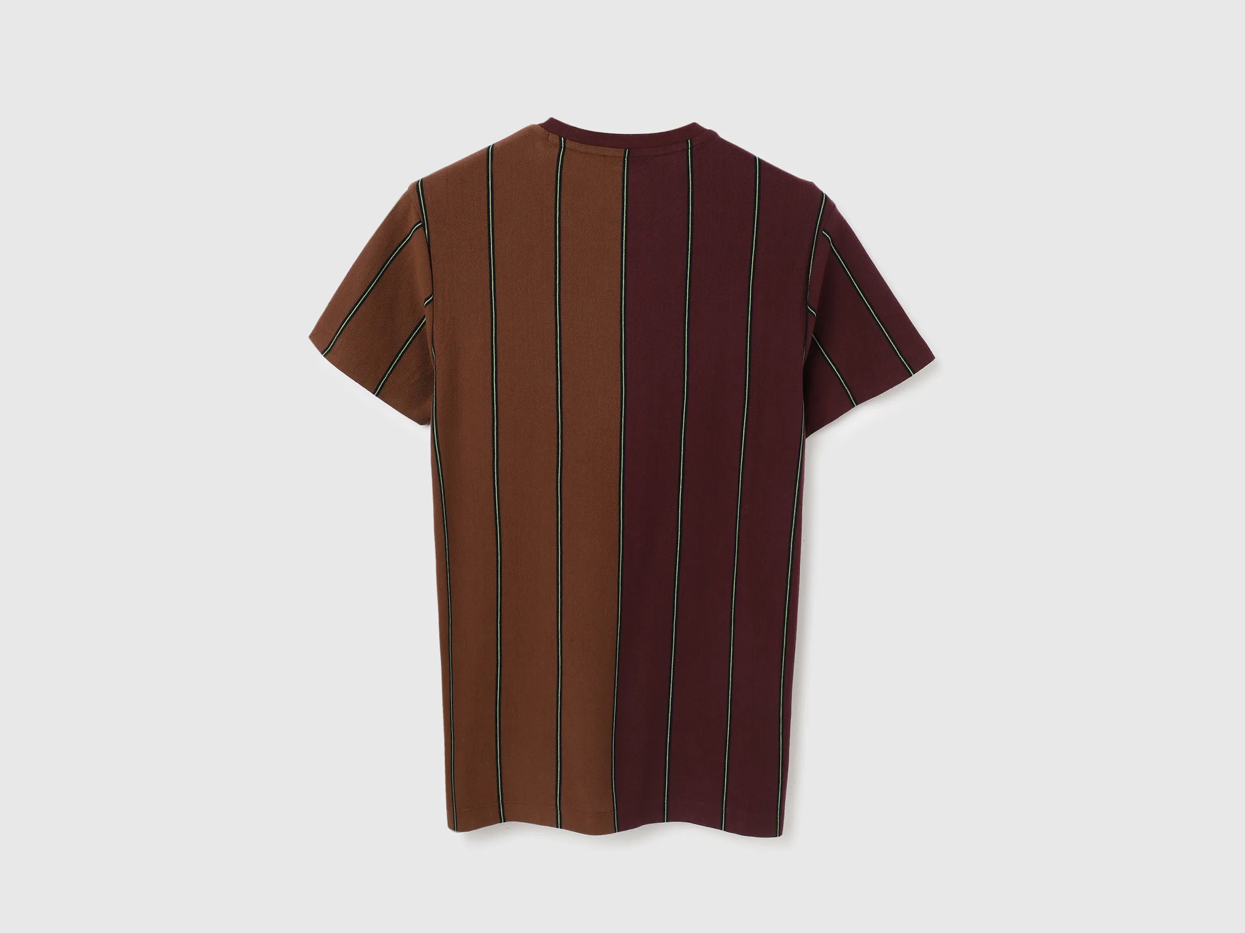 Regular Fit Crew Neck Striped T Shirt