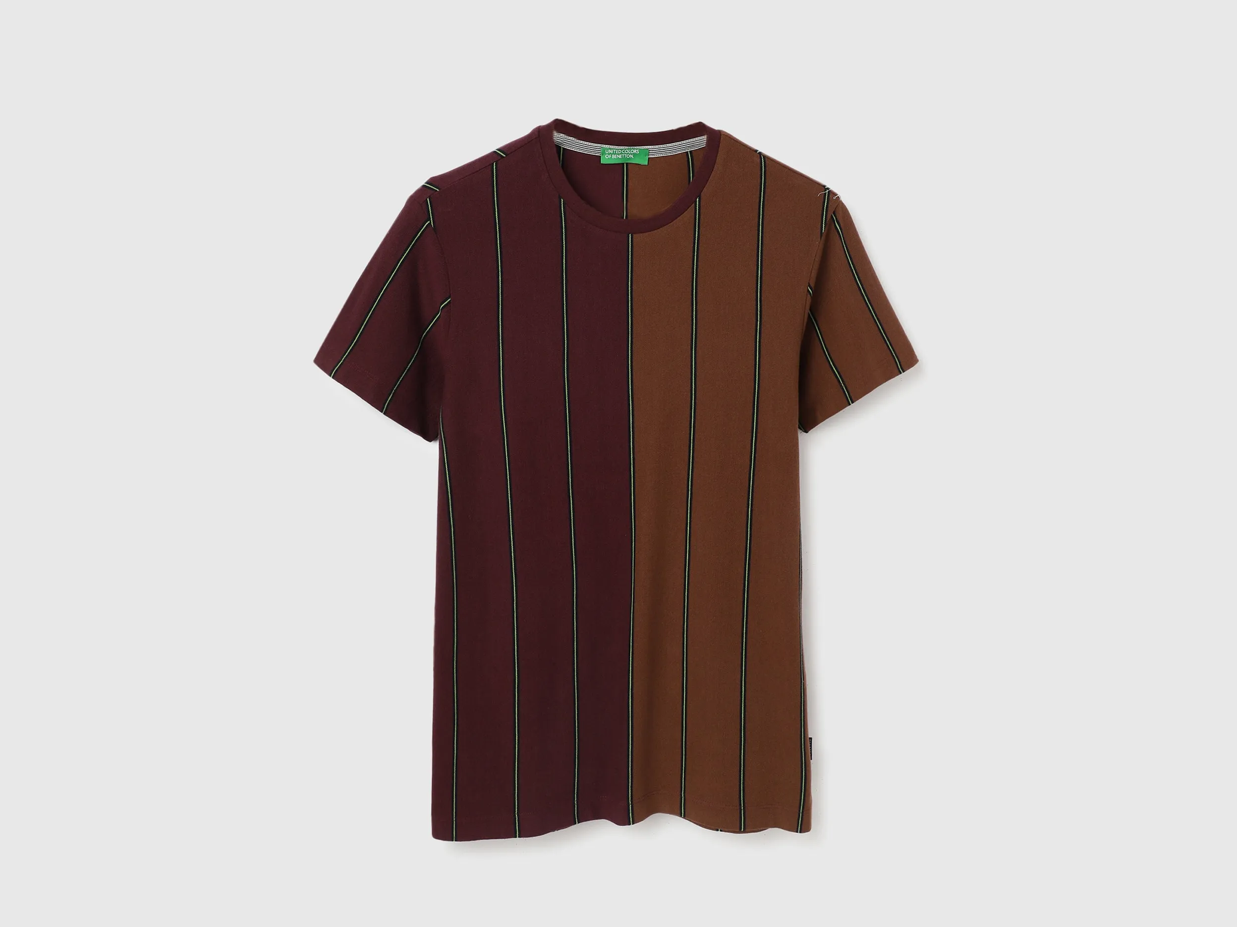 Regular Fit Crew Neck Striped T Shirt