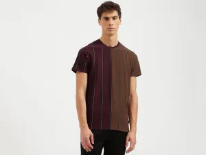 Regular Fit Crew Neck Striped T Shirt