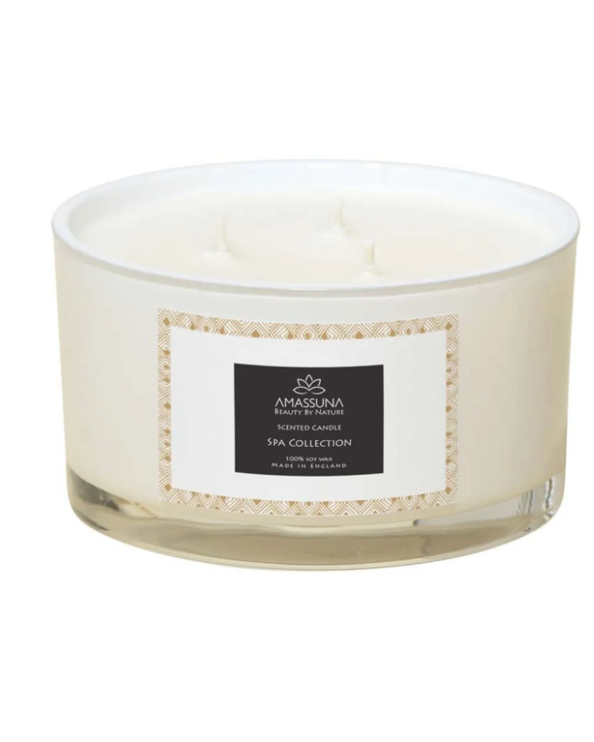 Rosemary, Eucalyptus & Tea Tree Deluxe Soy Candle