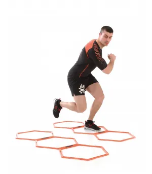 Sveltus Training Ladder
