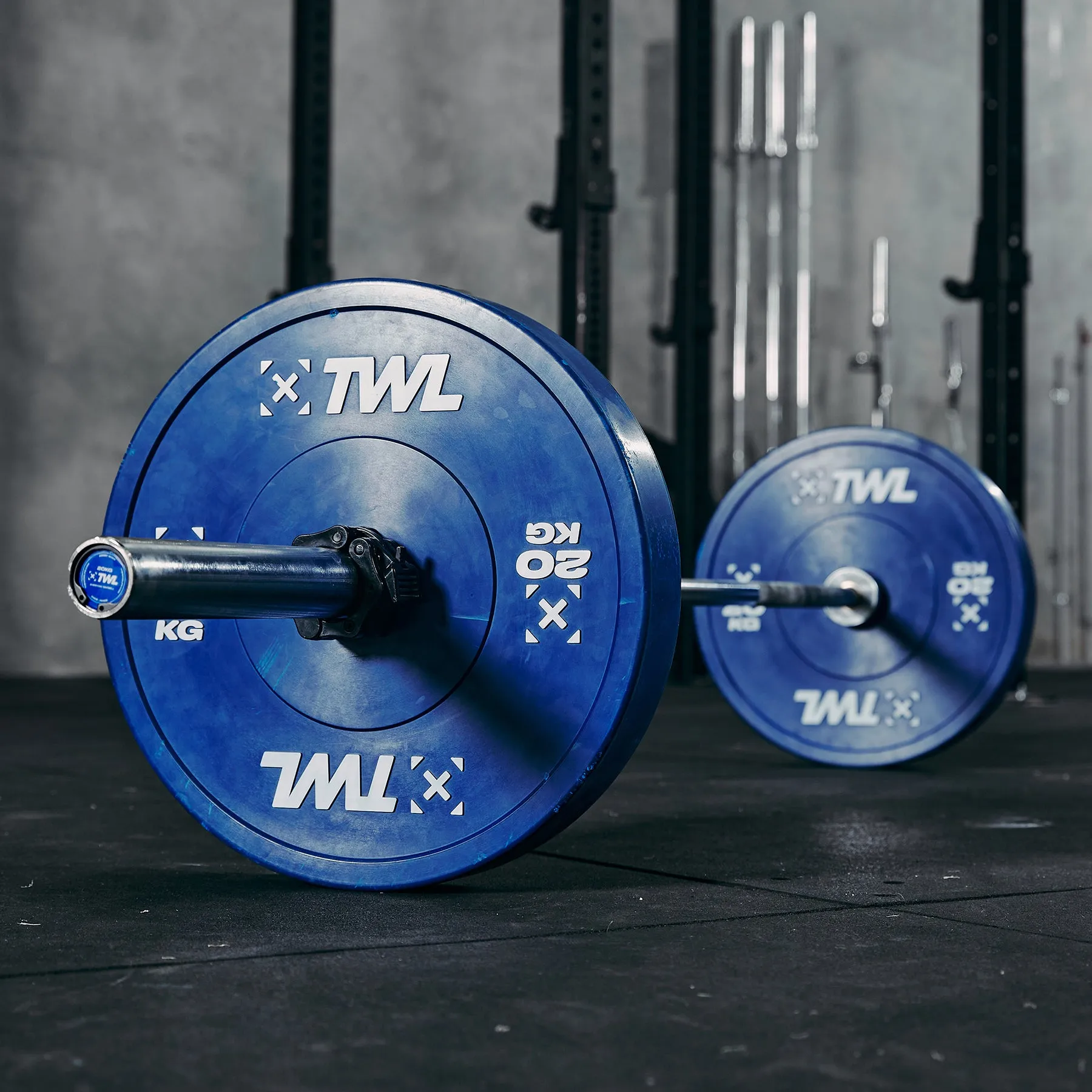 TWL - EVERYDAY BUMPER PLATES - COLOURED - PAIR