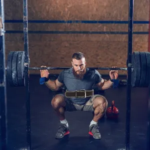 Weight Lifting Belt Pro Training Large [ONLINE ONLY]